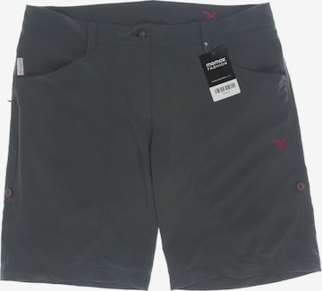 SALEWA Shorts L in Grün: predná strana