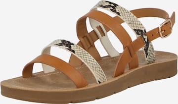 CALL IT SPRING Strap Sandals 'POWERR' in Brown: front