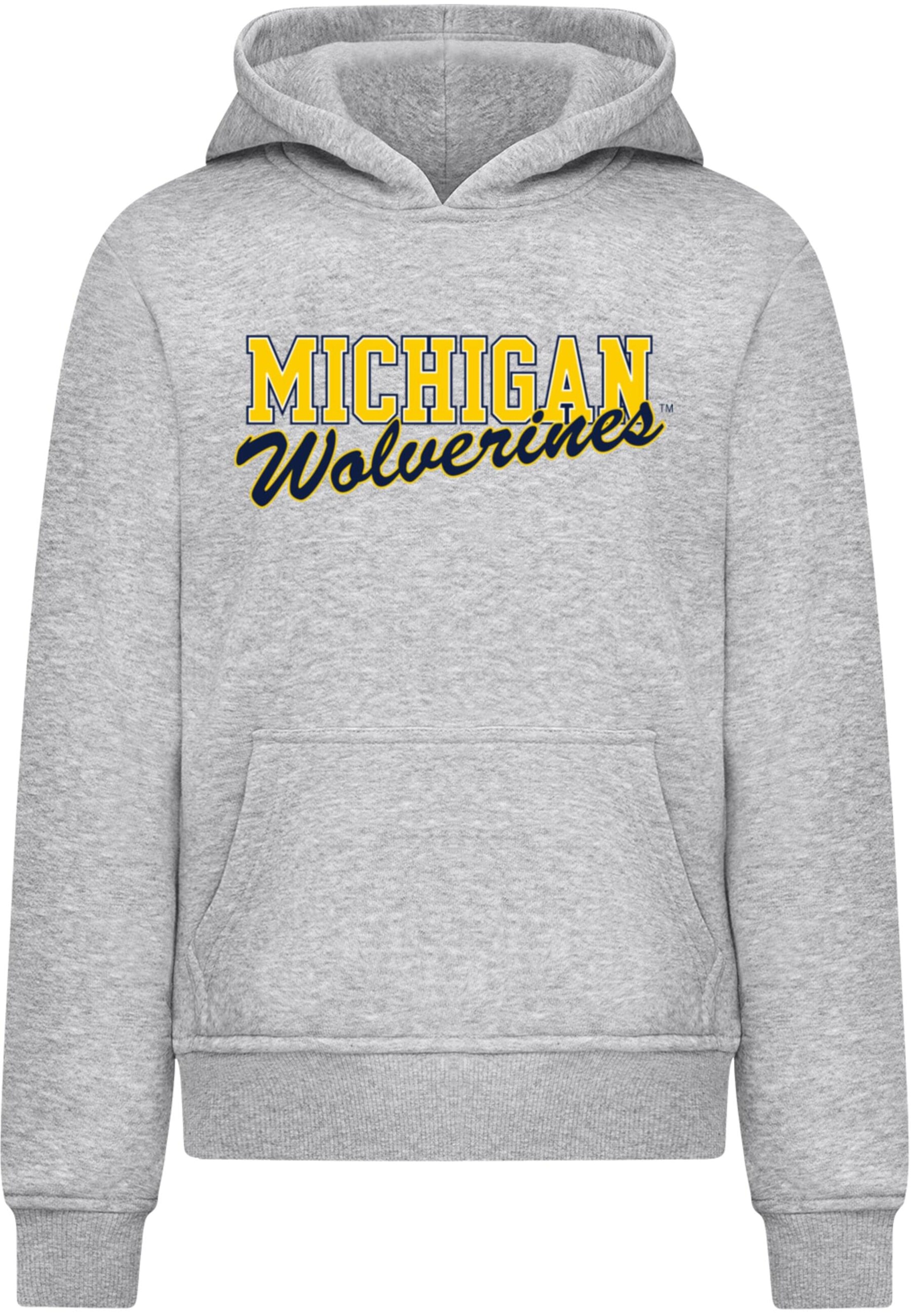 Merchcode Sweatshirt 'Michigan Wolverines' in Grey: front