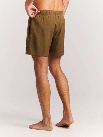 PROTEST Swimming shorts 'Davey' in Brown