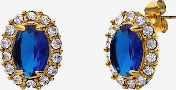 Lucardi Earrings in Gold: front