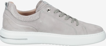 SALAMANDER Sneaker in Grau