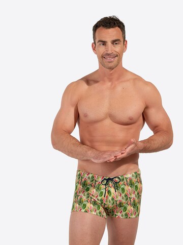 Shorts de bain ' Swim Shorts Taormina ' HOM en vert : devant