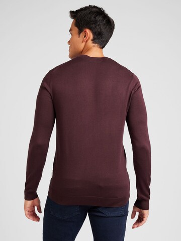 Only & Sons Tröja 'ONSWYLER' i brun