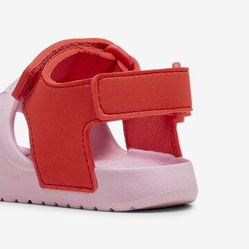 PUMA Sandals 'Divecat v2 Injex' in Pink