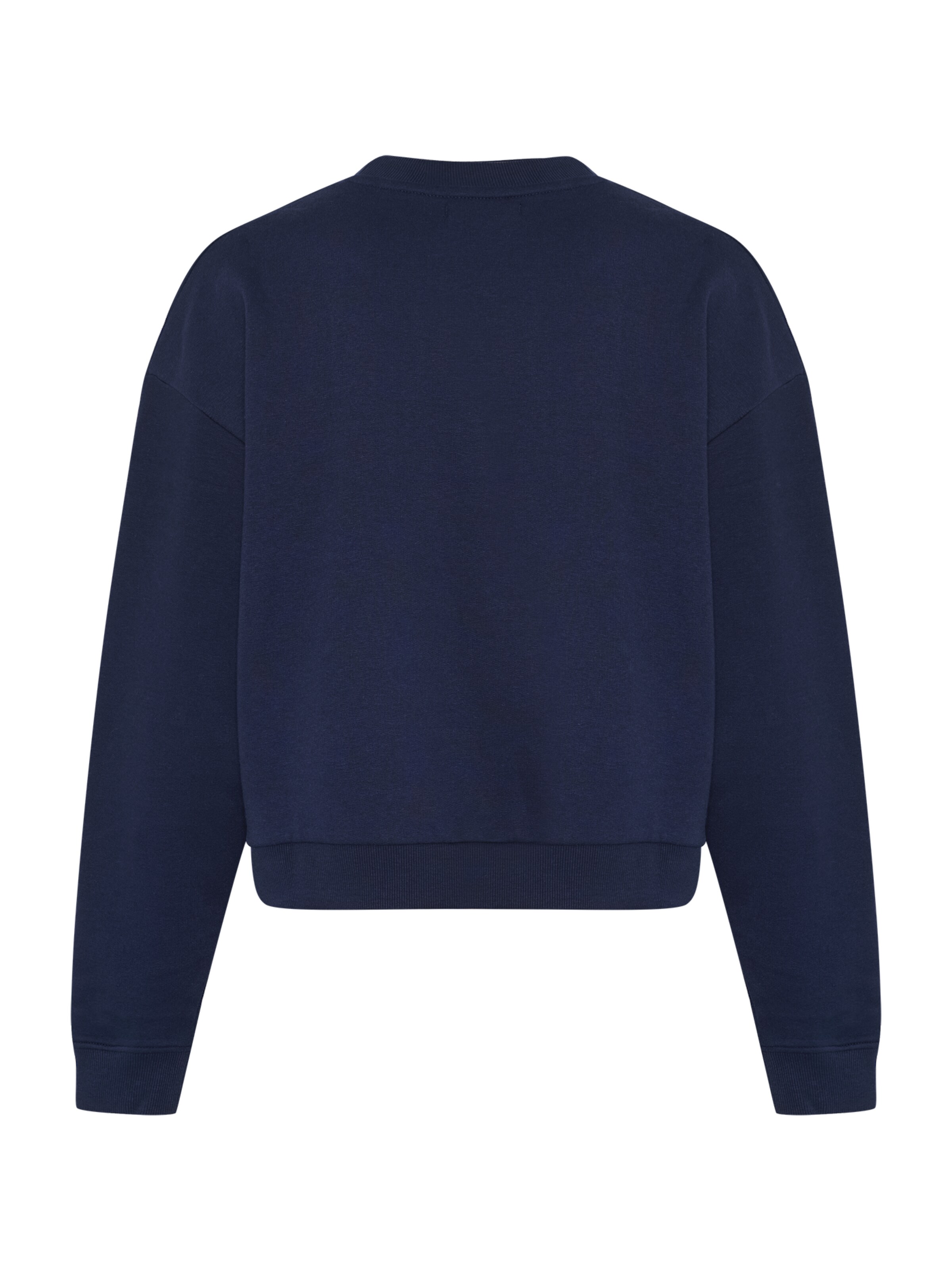 antargo Sweatshirt in Blue