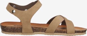 Sandales IGI&CO en marron