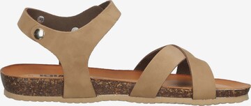 IGI&CO Sandals in Brown