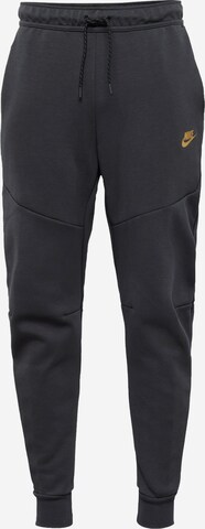 Nike Sportswear Pants in Grey: front