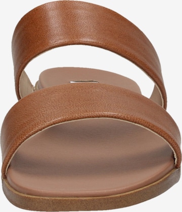 STEVE MADDEN Mules in Brown