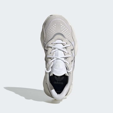 ADIDAS ORIGINALS Sneakers 'Ozweego' in Wit