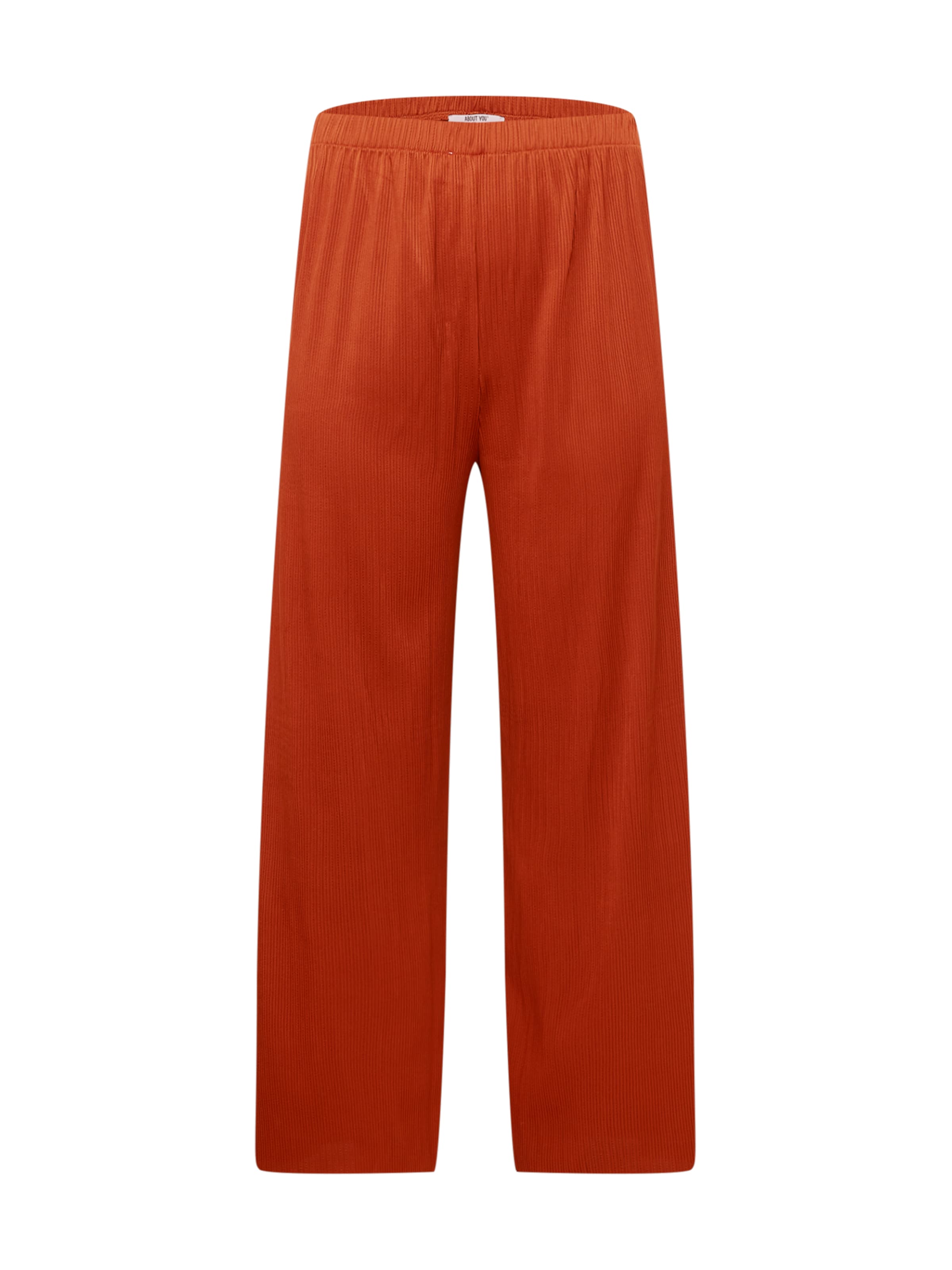 ABOUT YOU Curvy Штаны 'Inka' в Коричневый: спереди