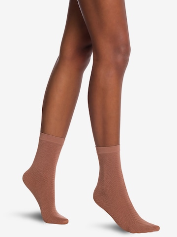 Wolford Socks in Brown: front