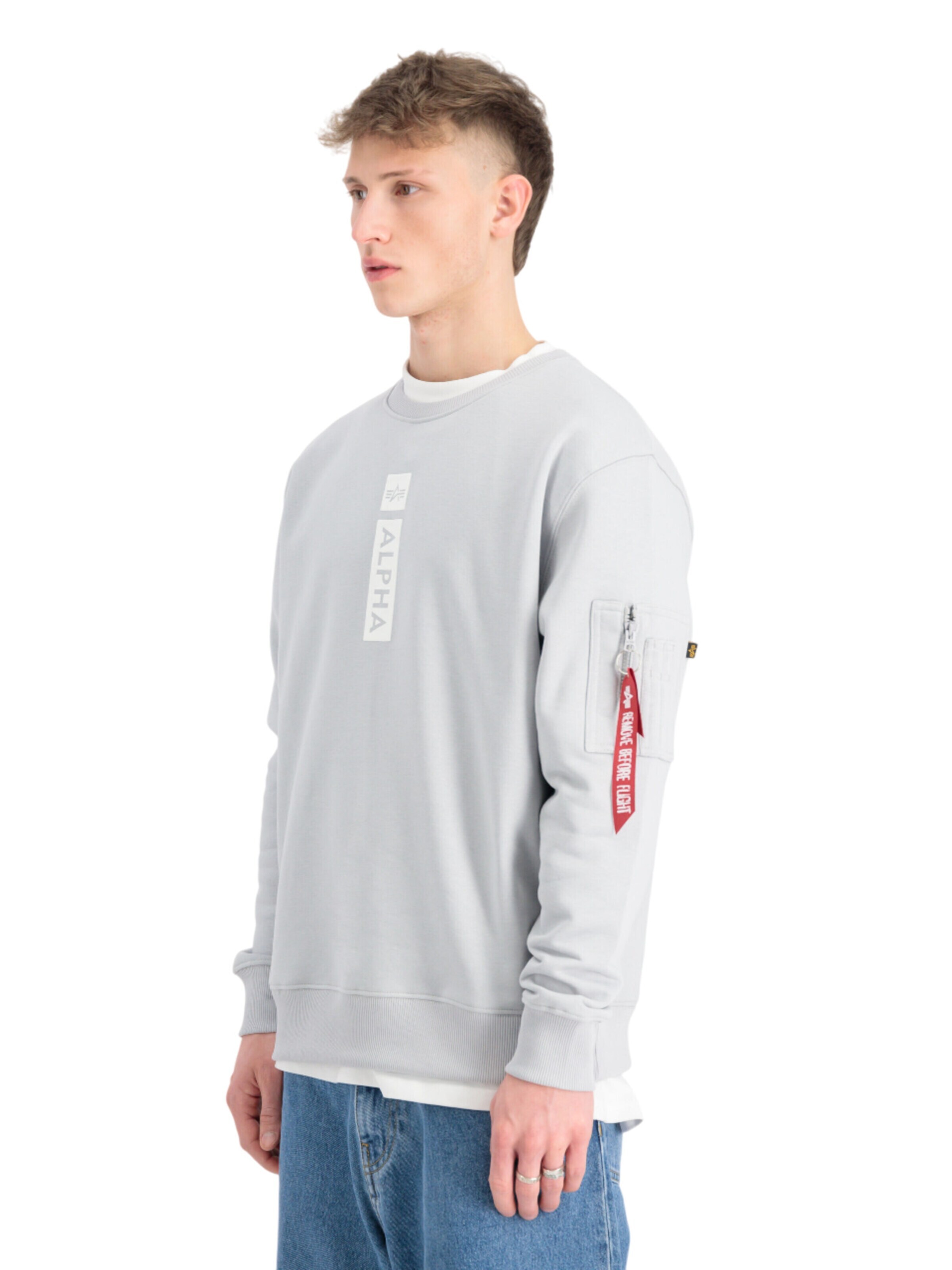ALPHA INDUSTRIES Sweatshirt 'RP'‌‌‌‌‌‌‌‌ in Grau