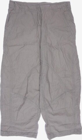 ABSOLUT by ZEBRA Pants in XL in Grey: front