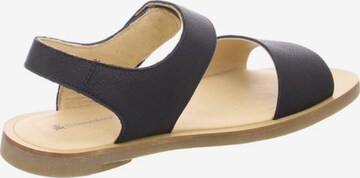 EL NATURALISTA Sandals in Black