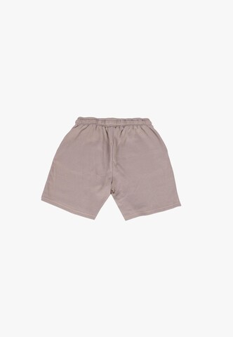 Dropsize - Loosefit Calças em cinzento