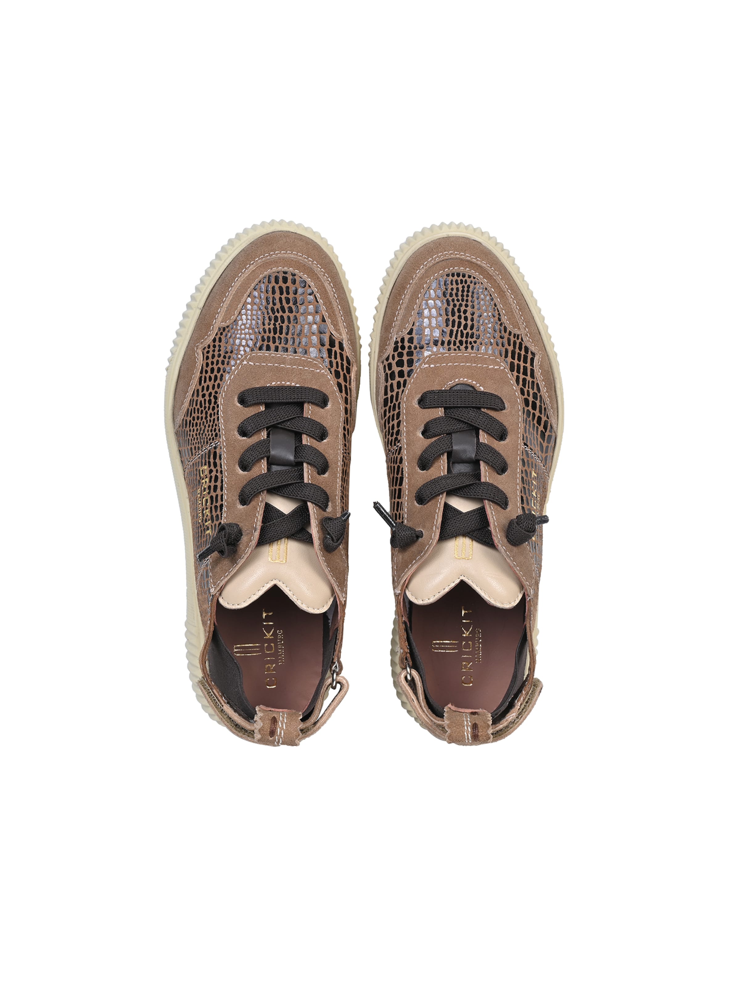 Crickit Sneaker ' PARIA ' in Braun