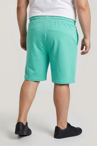 Men Plus Regular Broek in Groen