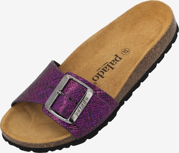 Mule 'Malta EGS Artemisa' Palado en violet : devant