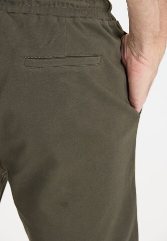 NOU Regular Hose 'Lucan' in Grün