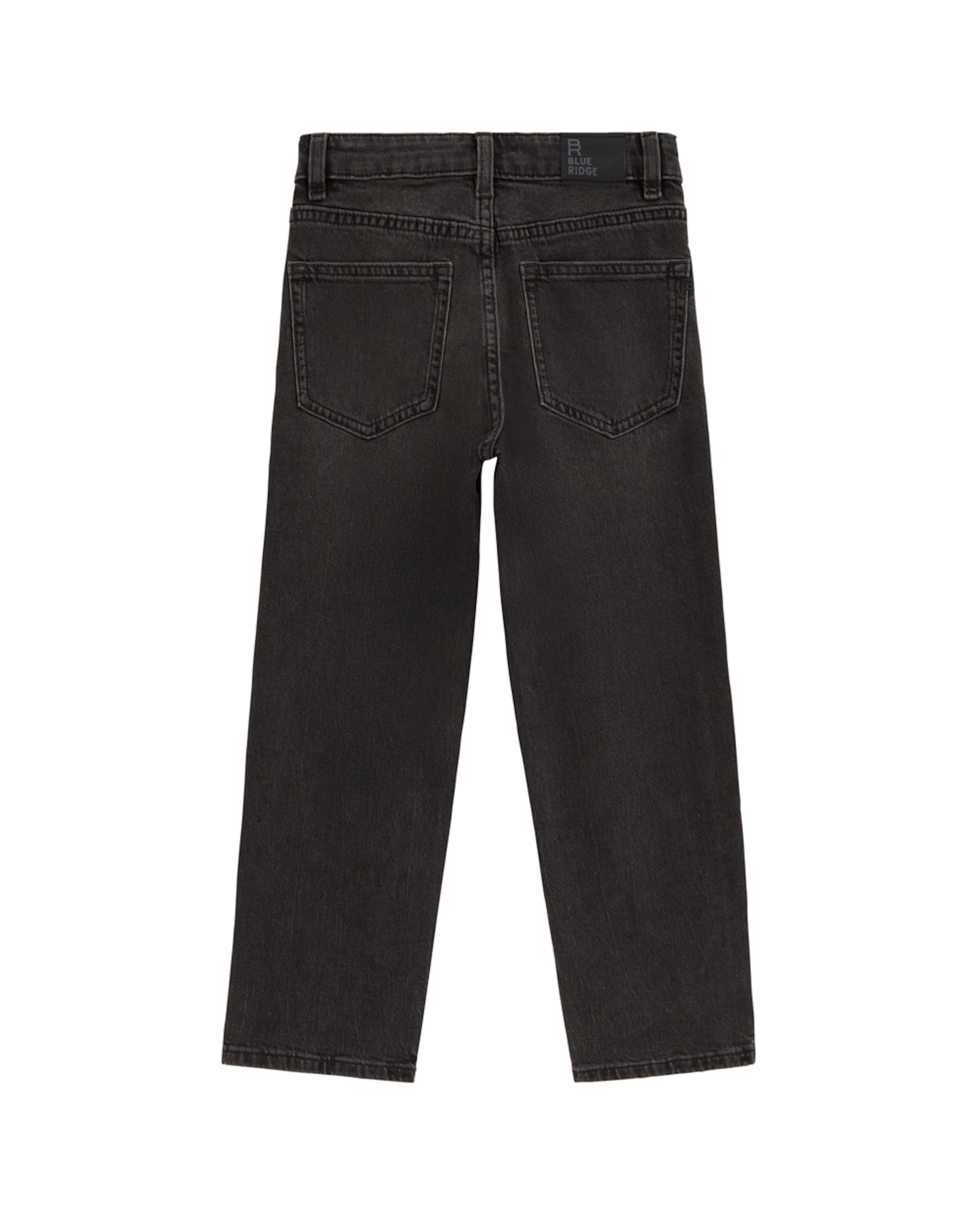 Loosefit Jean WE Fashion en gris