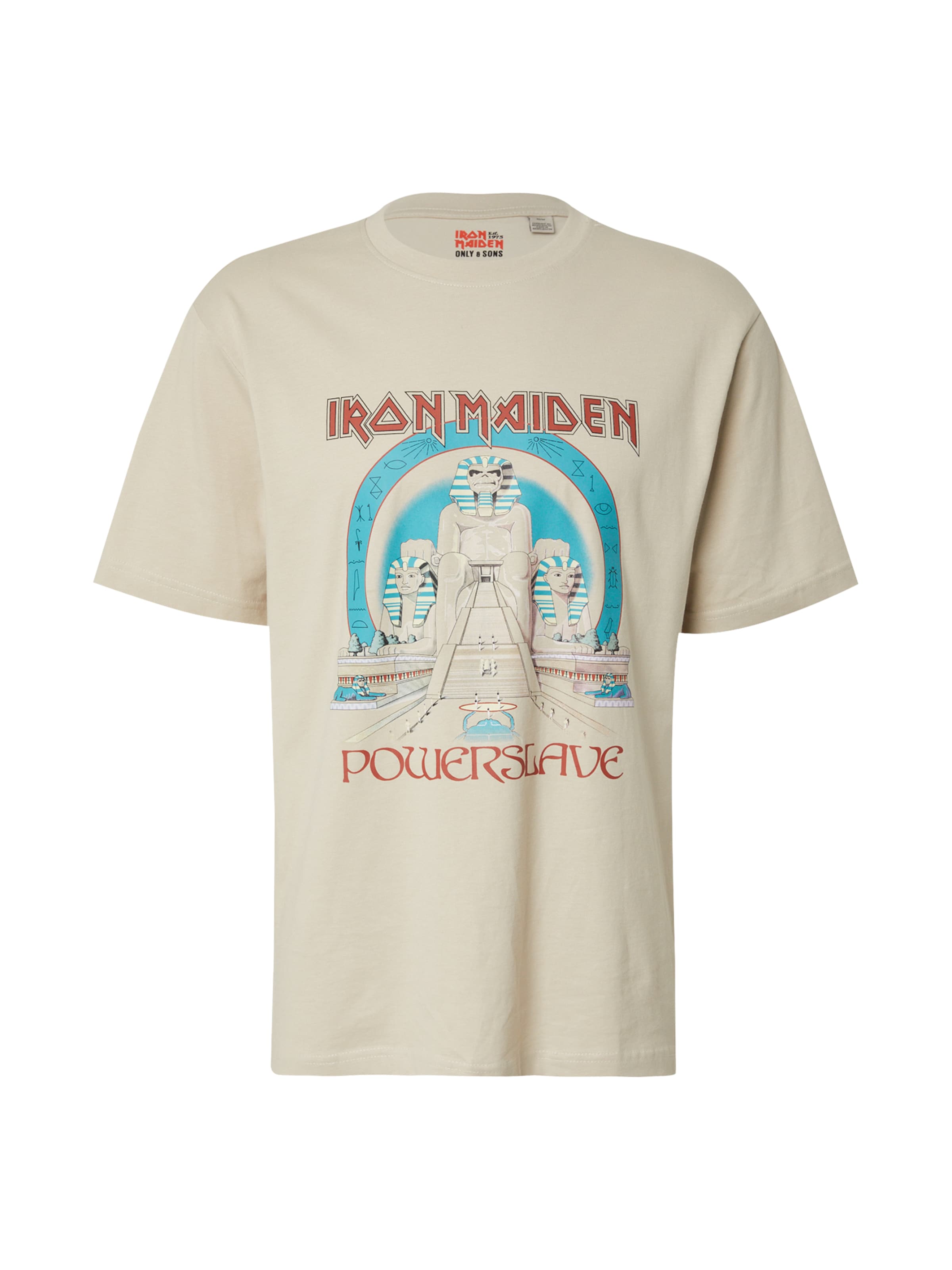 Only & Sons - Camisa 'ONSIRONMAIDEN' em cinzento: frente