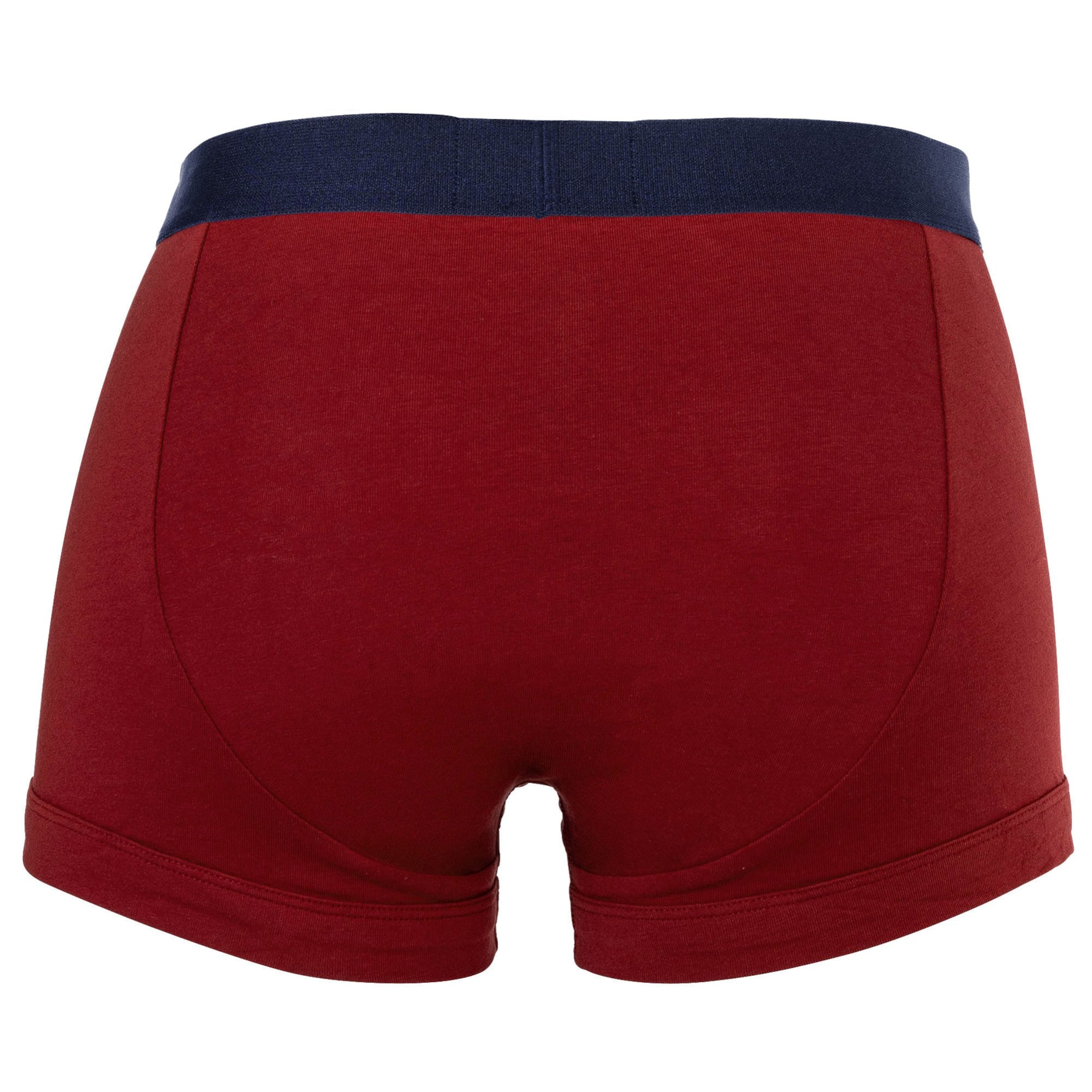 Boxers Emporio Armani en bleu