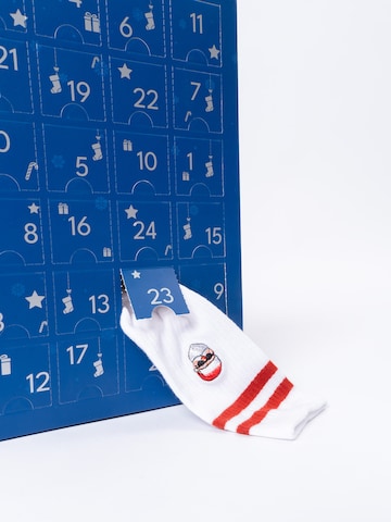 Occulto Sports socks 'Adventskalender' in Blue