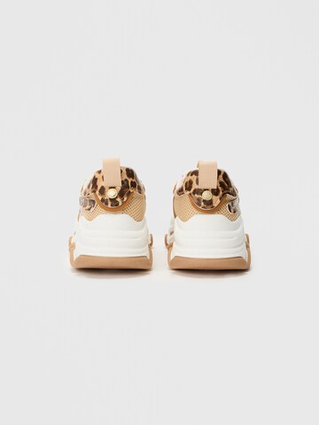 STEVE MADDEN Nizke superge 'POSSESSION-E' | rjava barva