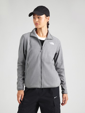 Giacca di pile funzionale 'GLACIER' di THE NORTH FACE in grigio: frontale
