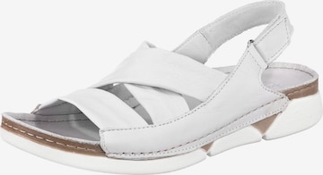 ANDREA CONTI Sandals in White: front