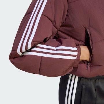 ADIDAS ORIGINALS Winterjas 'Adicolor' in Rood
