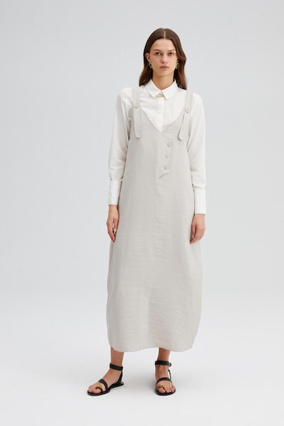 Touche Prive Dress in Kitt, Item view