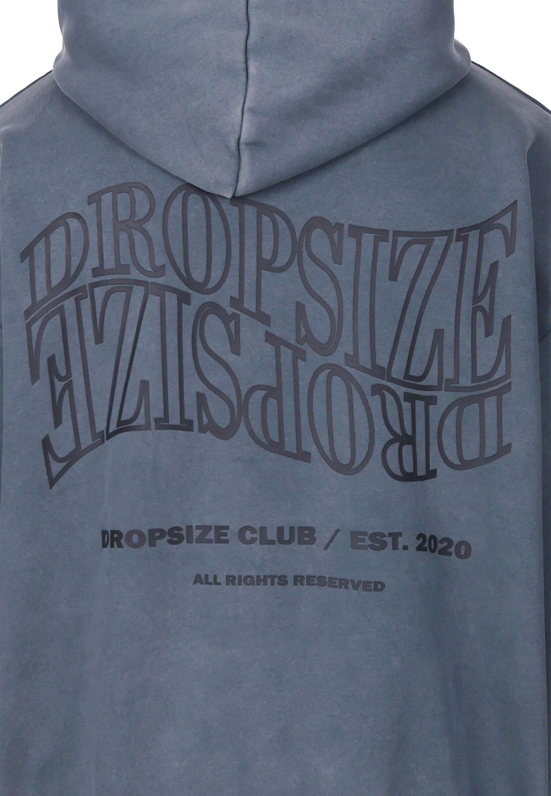 Sweat-shirt Dropsize en gris