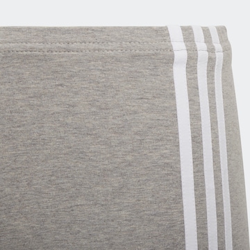 ADIDAS ORIGINALS Slim fit Leggings 'Adicolor Cycling' in Grey