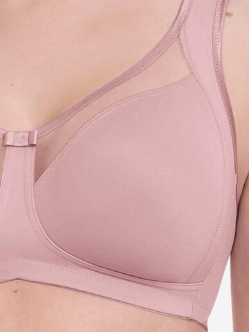 ANITA Bra 'Clara' in Pink