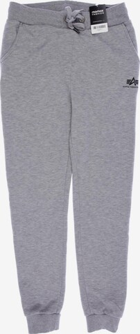 ALPHA INDUSTRIES Pants in 33 in Grey: front