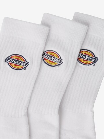 Chaussettes 'Valley Grove' DICKIES en blanc