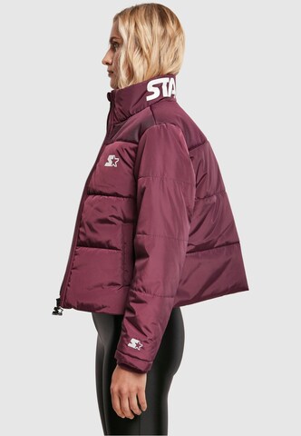 Starter Black Label Jacke in Lila