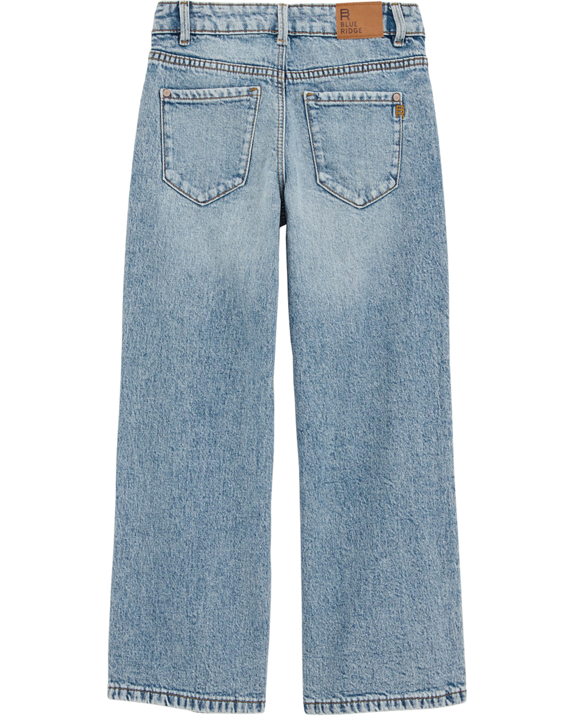 mėlyna WE Fashion Laisvas Džinsai