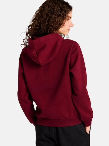 THE NORTH FACE - Sudadera 'THE NORTH FACE W EVO SD REG HOODIE Maglieria' en rojo