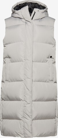 Superdry Bodywarmer in Grijs: voorkant