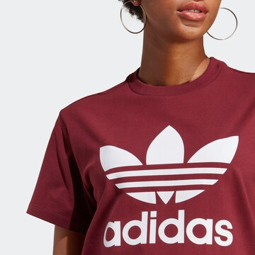 ADIDAS ORIGINALS - Camiseta 'Adicolor Classics Trefoil' en rojo