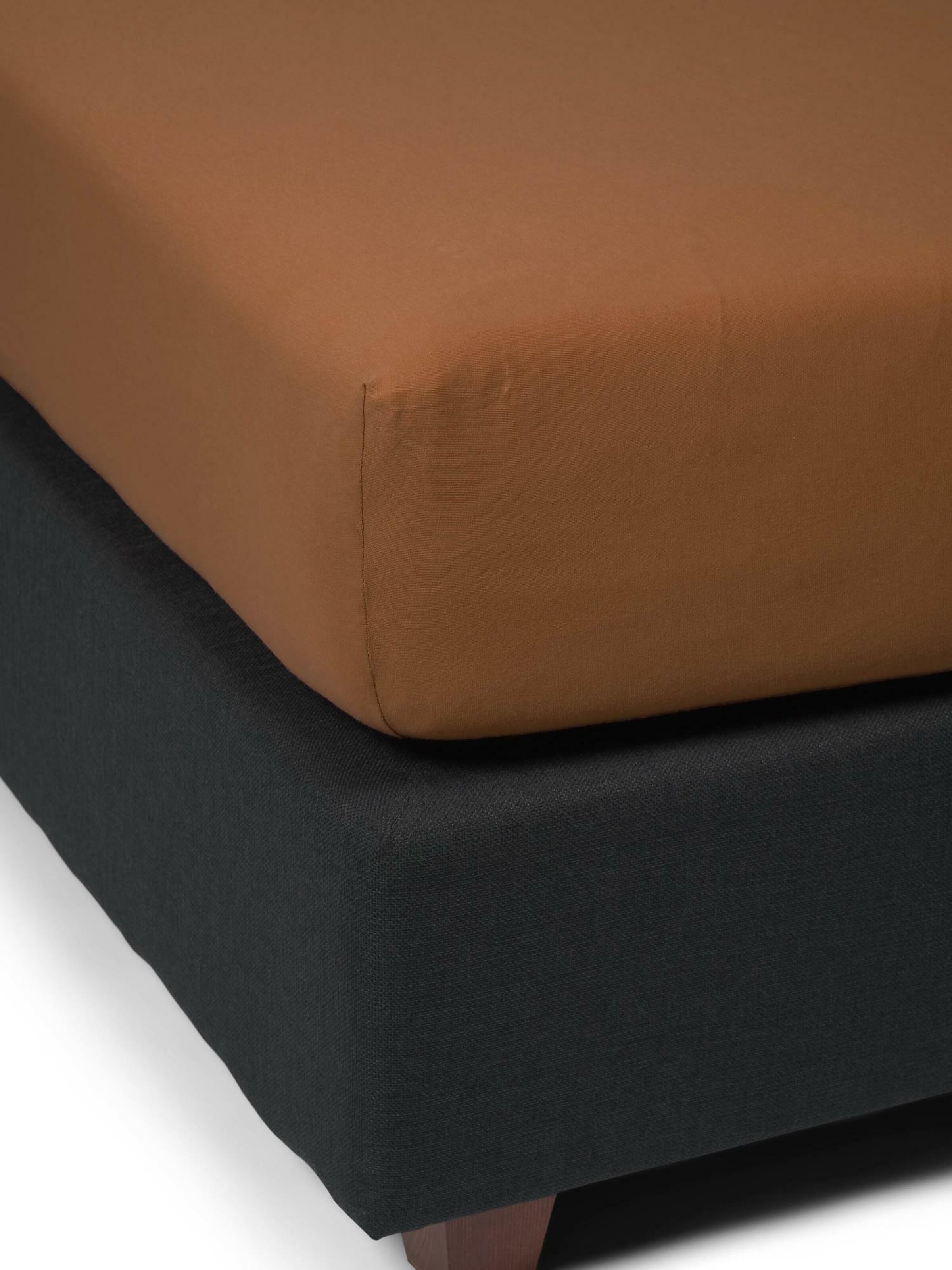 ESSENZA Bed Sheet in Brown