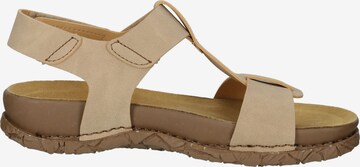 EL NATURALISTA Sandalen met riem in Beige