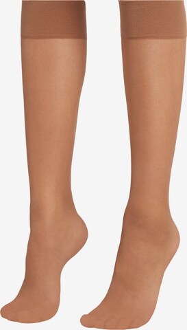 CALZEDONIA Knee High Socks in Beige: front