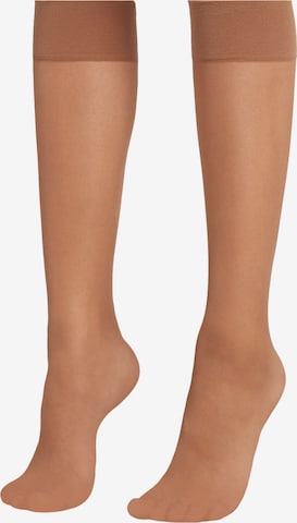 CALZEDONIA Kniestrümpfe in Beige: predná strana