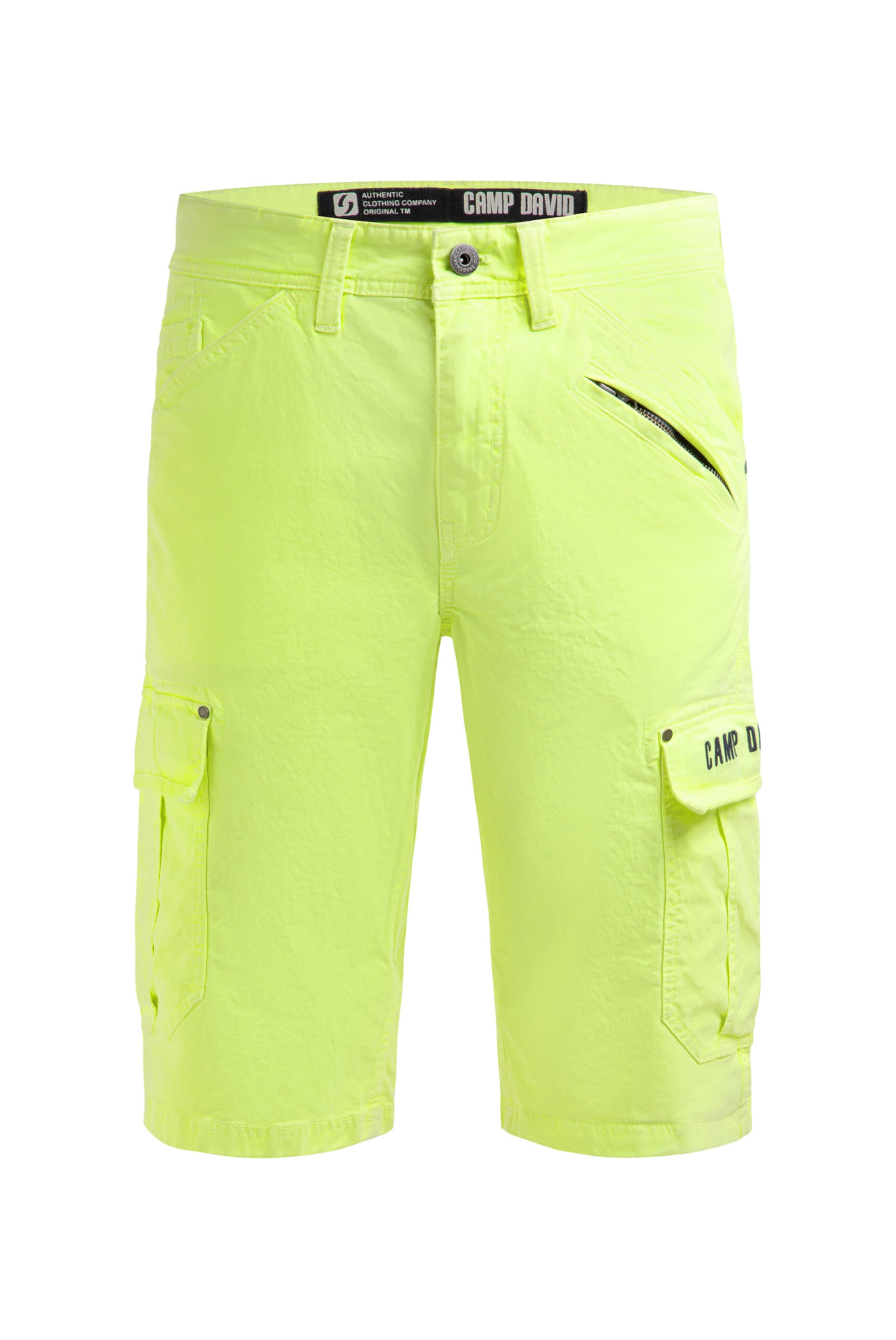 CAMP DAVID Regular Pants in Green: front