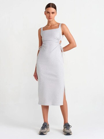 Robe Dilvin en gris : devant